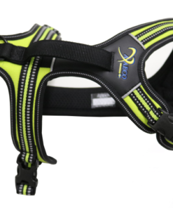 Axaeco Harness 4 Season Power