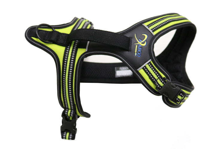 Axaeco Harness 4 Season Power