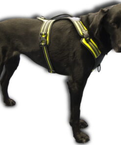 Axaeco Harness 4 Season Power - Image 14