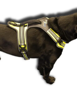 Axaeco Harness 4 Season Power - Image 15