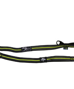 Axaeco 4 Season Elastic Leash