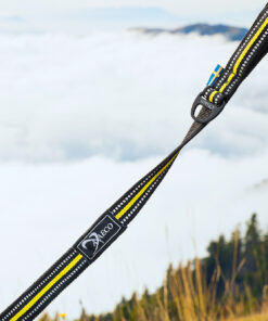 Alternative view of Axaeco 4 Season Elastic Leash