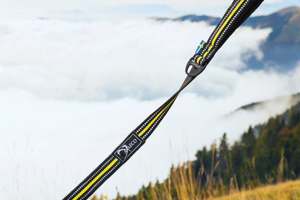 Axaeco 4 Season Elastic Leash - Image 2
