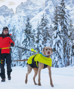 Axaeco Jogging Leash - Image 4
