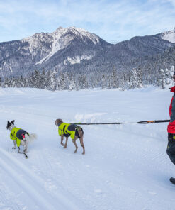Axaeco Jogging Leash - Image 3
