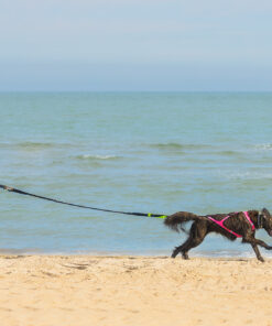 Alternative view of Axaeco Jogging Leash