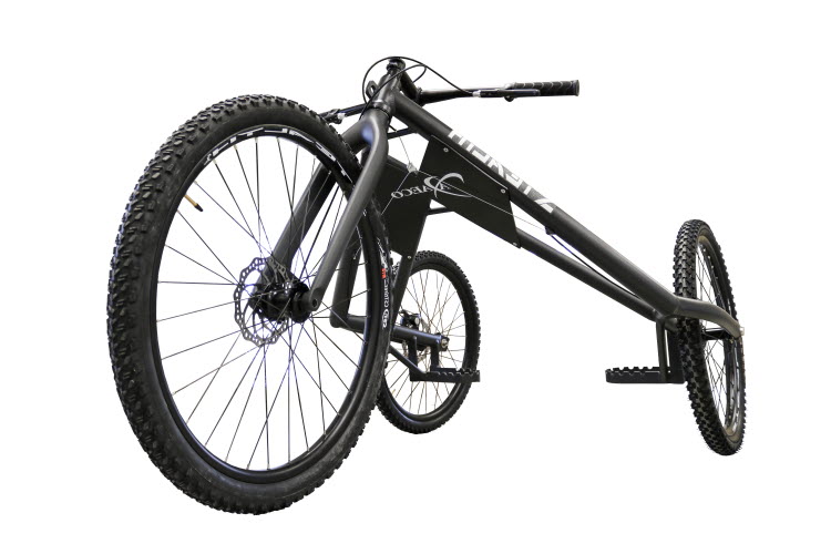 Axaeco Stealth Carbon Racing Cart