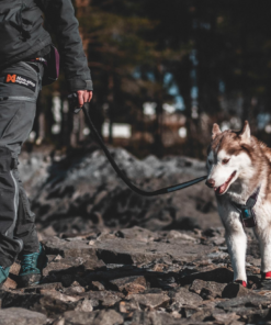 Alternative view of Non-stop Dogwear Protector Booties