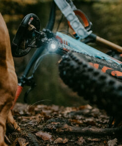 Orbiloc K9 Active - Image 9
