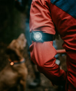Orbiloc K9 Active - Image 6