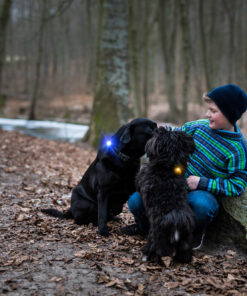 Orbiloc Dog Dual - Blå - Image 3