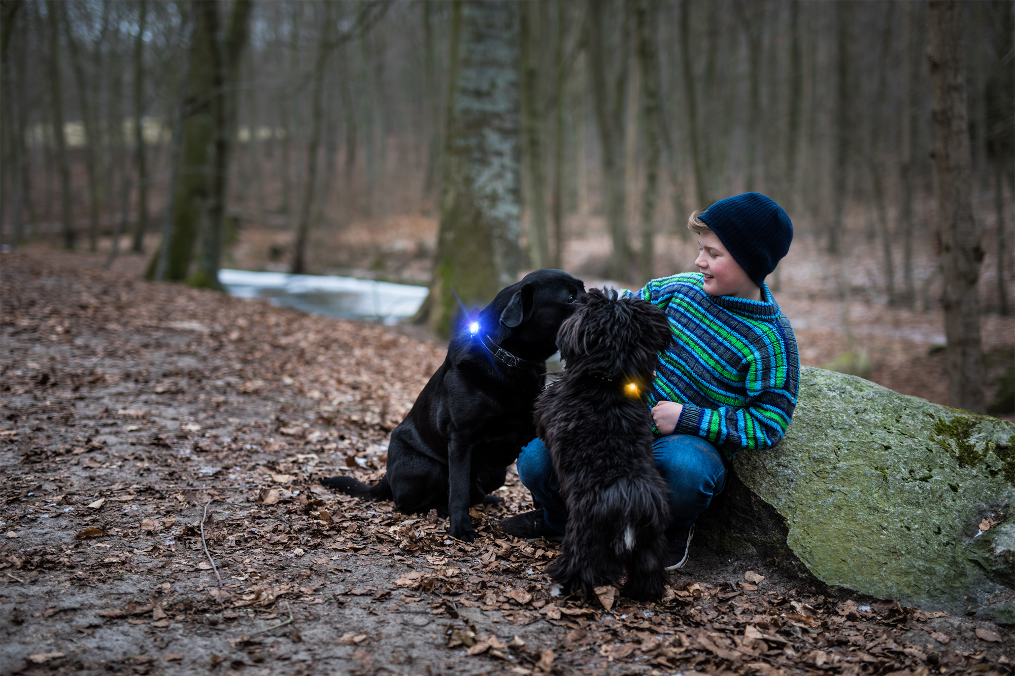 Orbiloc Dog Dual - Blå - Image 3