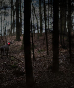 Orbiloc Dog Dual - Rød - Image 6