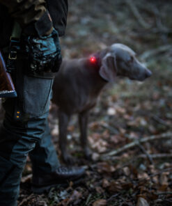 Alternative view of Orbiloc Dog Dual - Rød