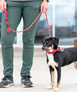 DOG Copenhagen Urban Rope™ Line - Image 5