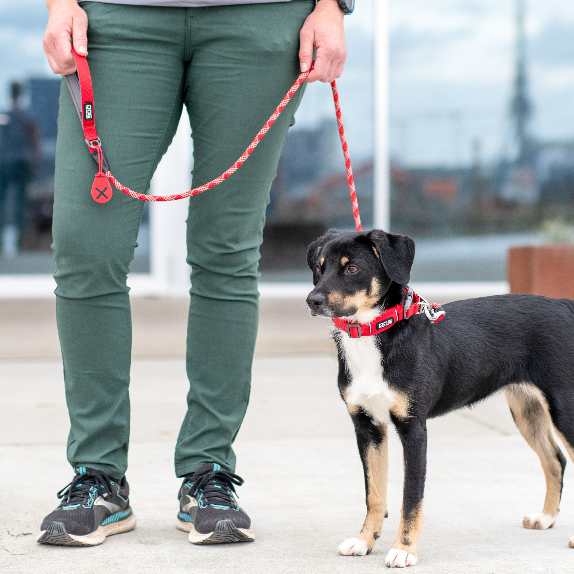 DOG Copenhagen Urban Rope™ Line - Image 5