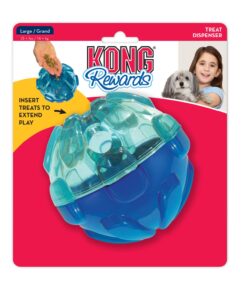 Alternative view of KONG Rewards Ball