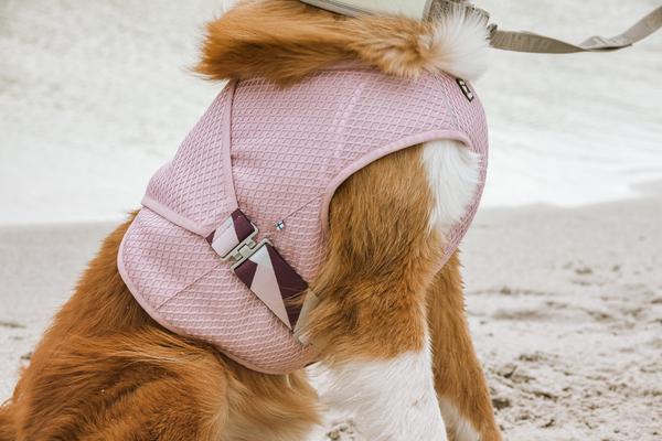 Hurtta Cooling Wrap Kølevest - Carnation Pink - Image 2