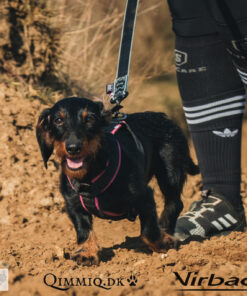 ManMat Bungee Line m/Twistlock karabin - 1 hund - Image 4