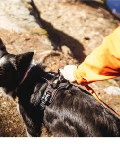 Alternative view of Non-stop Dogwear Rock Harness