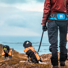 Bælte - vandre med hund
