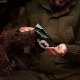 Godbidder til hund -vandretur