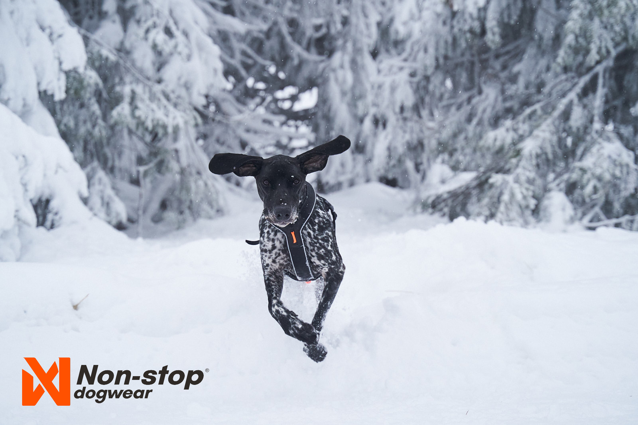 Non-stop Dogwear Line Harness Grip - Image 9