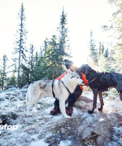 Non-stop Dogwear Line Harness Grip - Image 11
