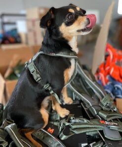 Non-stop Dogwear Line Harness 5.0 - Image 5