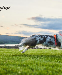 Alternative view of Non-stop Dogwear Line Harness 5.0