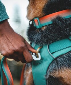 Ruffwear Front Range Daypack - Image 4