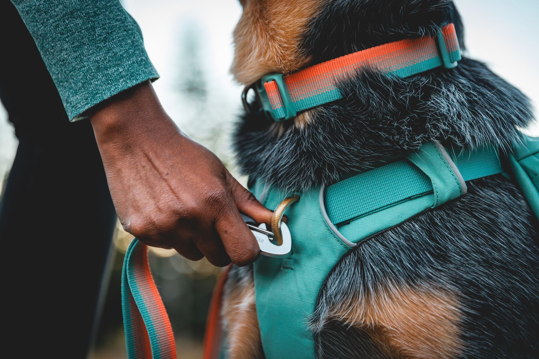 Ruffwear Front Range Daypack - Image 4