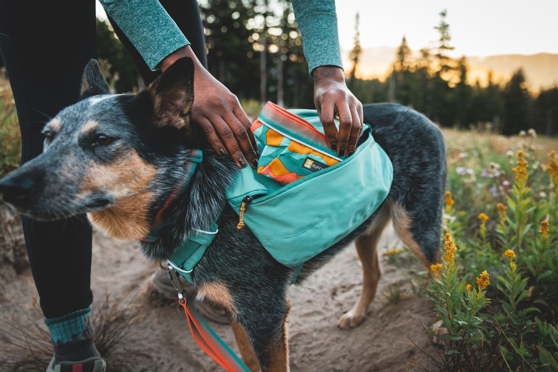 Ruffwear Front Range Daypack - Image 10