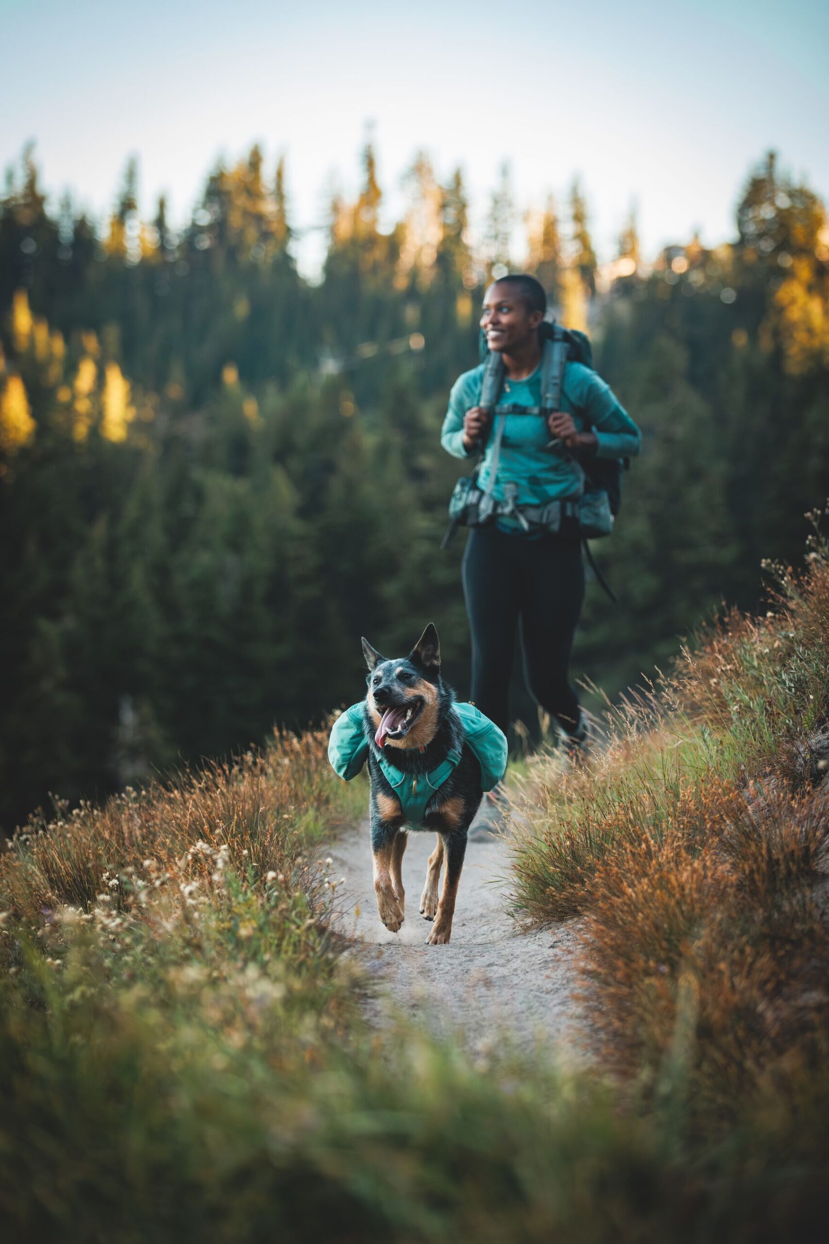 Ruffwear Front Range Daypack - Image 12