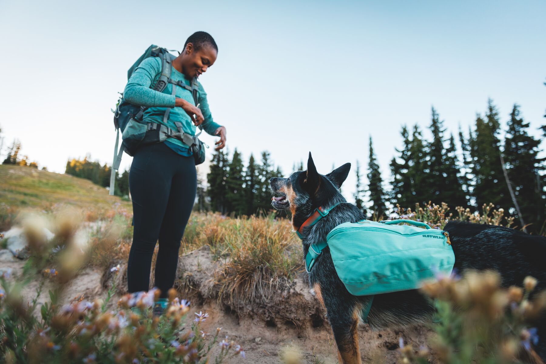 Ruffwear Front Range Daypack - Image 11