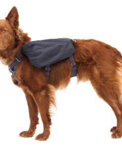 Ruffwear Front Range Daypack - Image 13