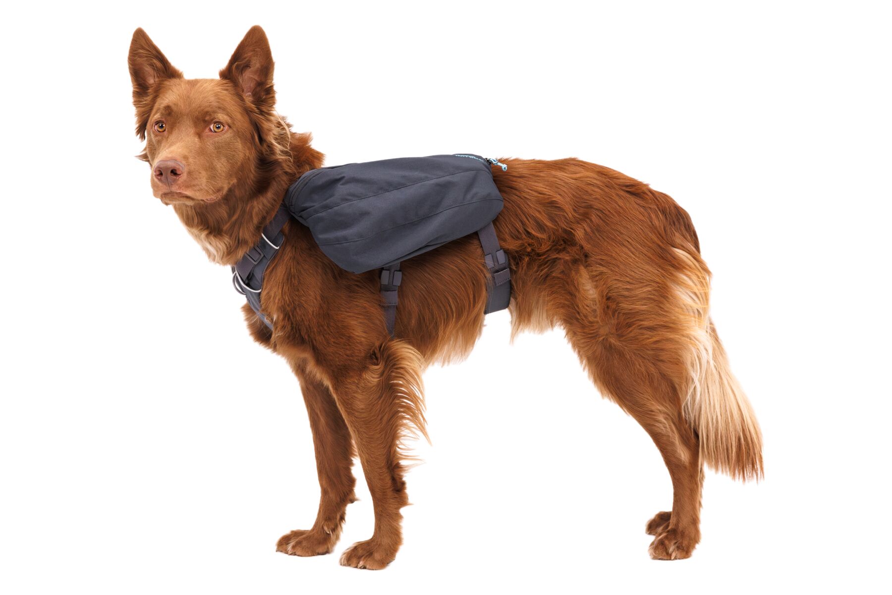 Ruffwear Front Range Daypack - Image 13
