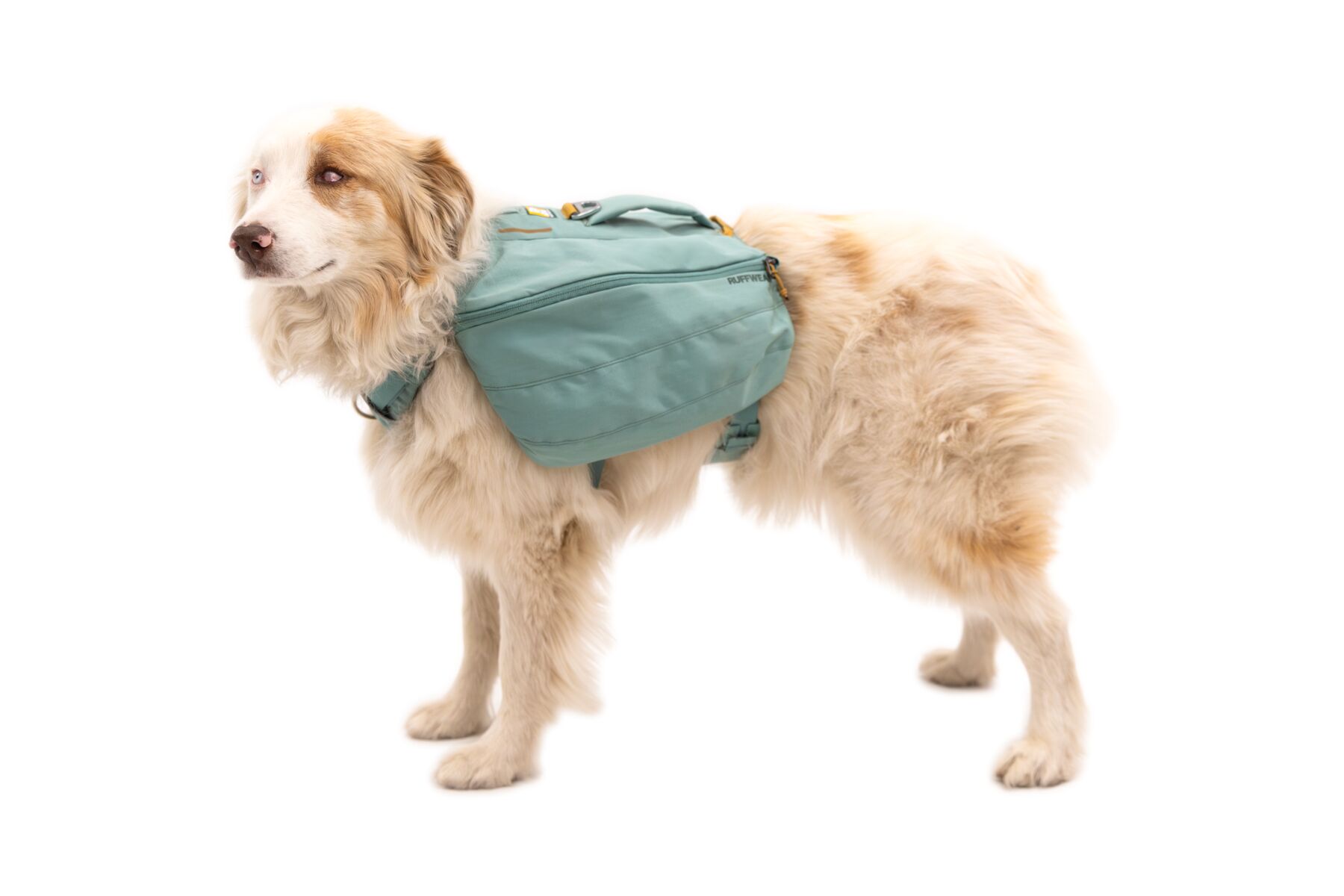 Ruffwear Front Range Daypack - Image 3