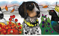 Eplaros emaljekrus - Engelsk setter - Image 4