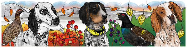 Eplaros emaljekrus - Engelsk setter - Image 4