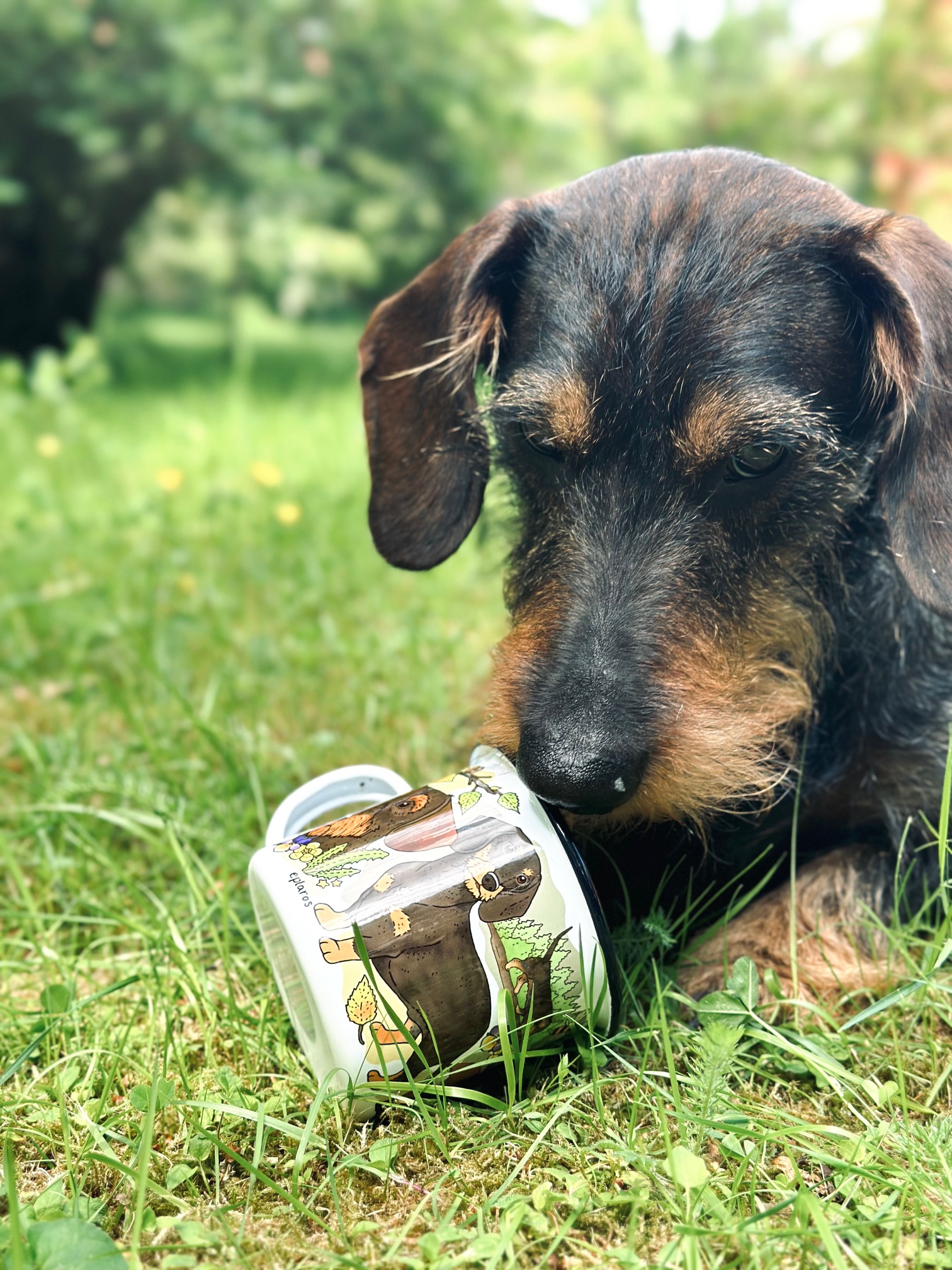 Eplaros emaljekrus - Gravhund - Image 5
