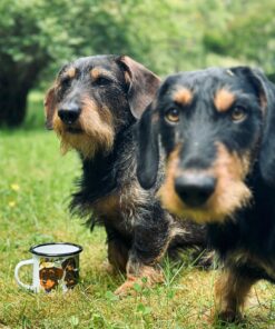 Eplaros emaljekrus - Gravhund - Image 4