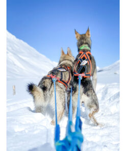 Sledwork Xback Active G3 - Image 9