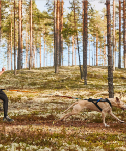 Alternative view of Non-stop Dogwear Canicross-sæt, M/L