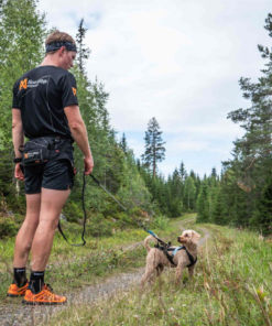 Non-stop Dogwear Canicross-sæt, Small - Image 7
