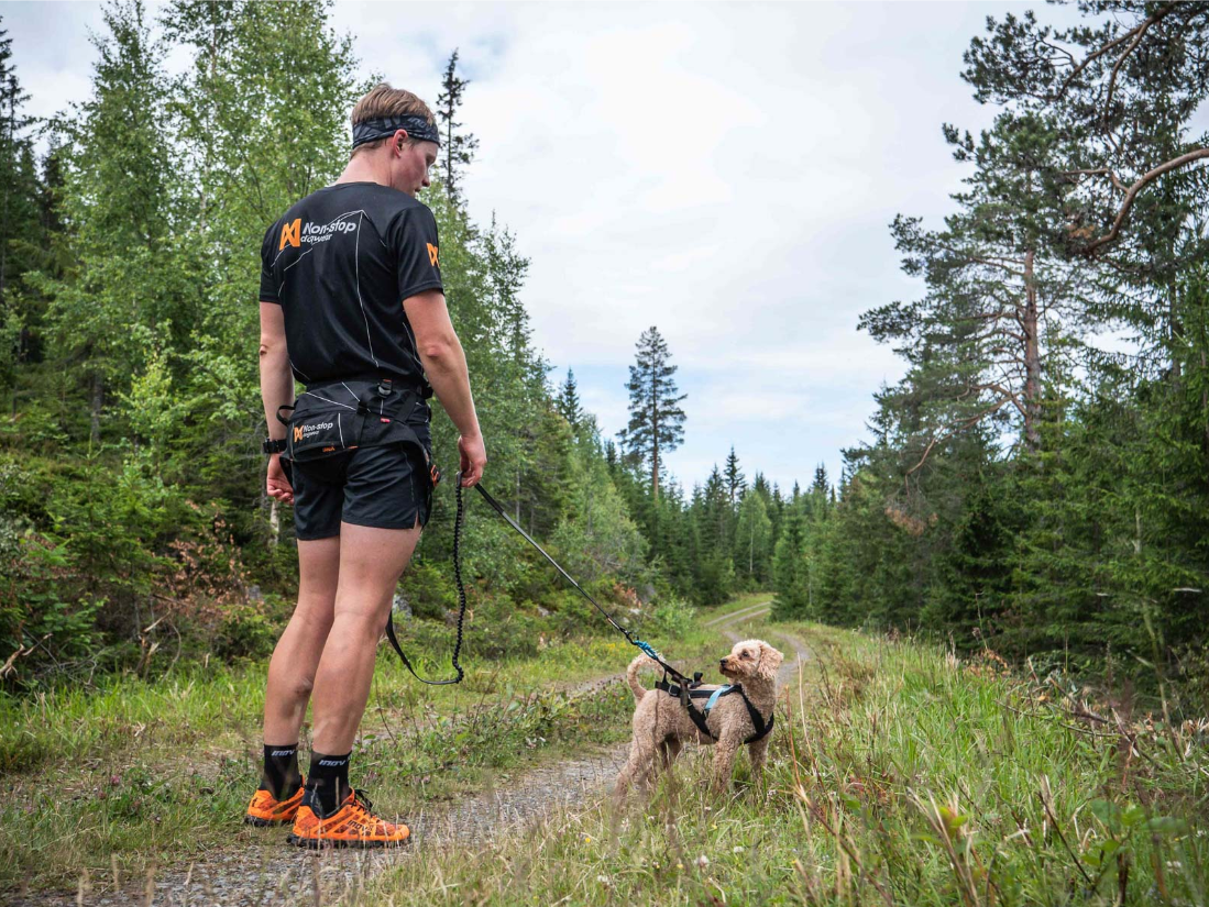 Non-stop Dogwear Canicross-sæt, Small - Image 7
