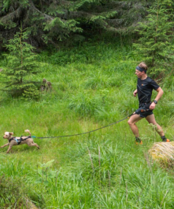 Alternative view of Non-stop Dogwear Canicross-sæt, Small