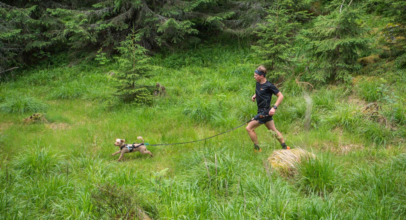 Non-stop Dogwear Canicross-sæt, Small - Image 2