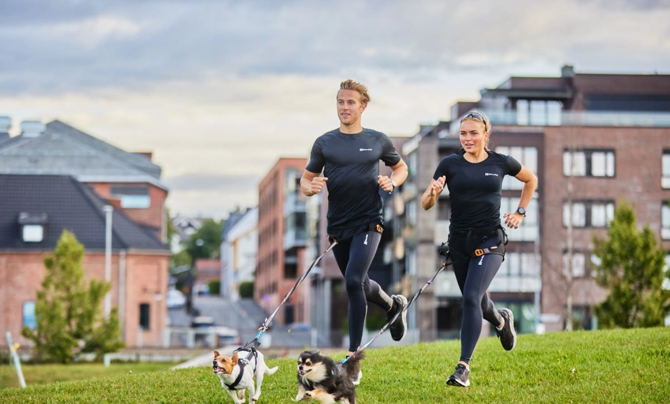 Non-stop Dogwear Canicross-sæt, Small - Image 6