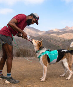 Alternative view of Ruffwear Swamp Cooler Zip Vest, Aurora Teal